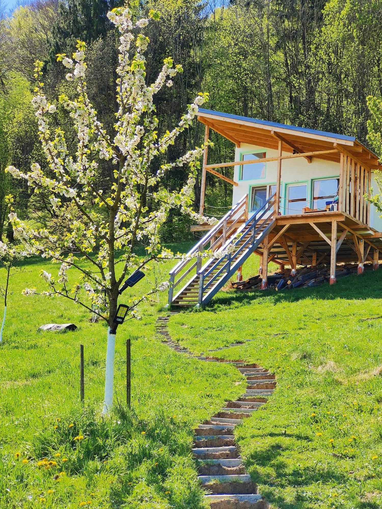 Rainbow Chalet Bran  Exterior foto